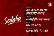 Sedalia, a Script Font by Heroglyphs Studio (Thumbnail 2 of 3)