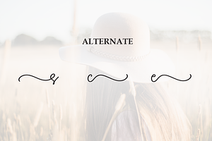 Someone Script Font