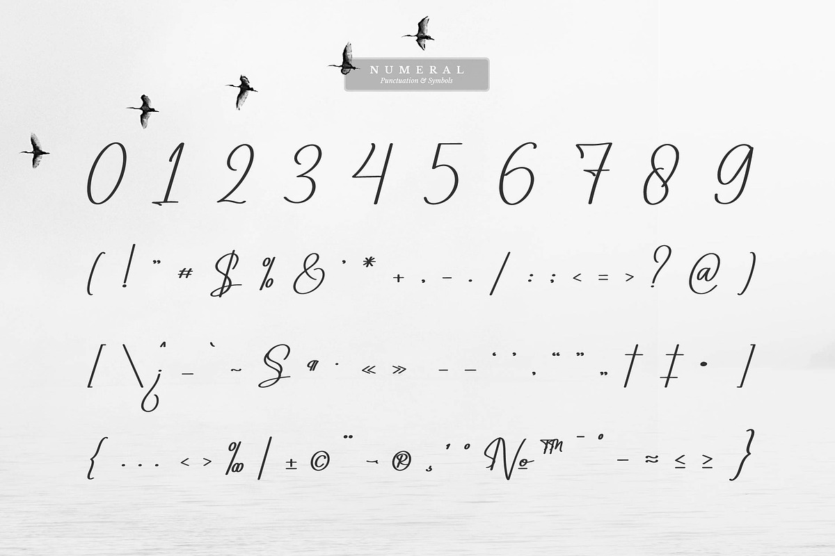 Uttahime | Modern Signature Font, a Script Font by gracetype_studio (Photo 13 of 15)