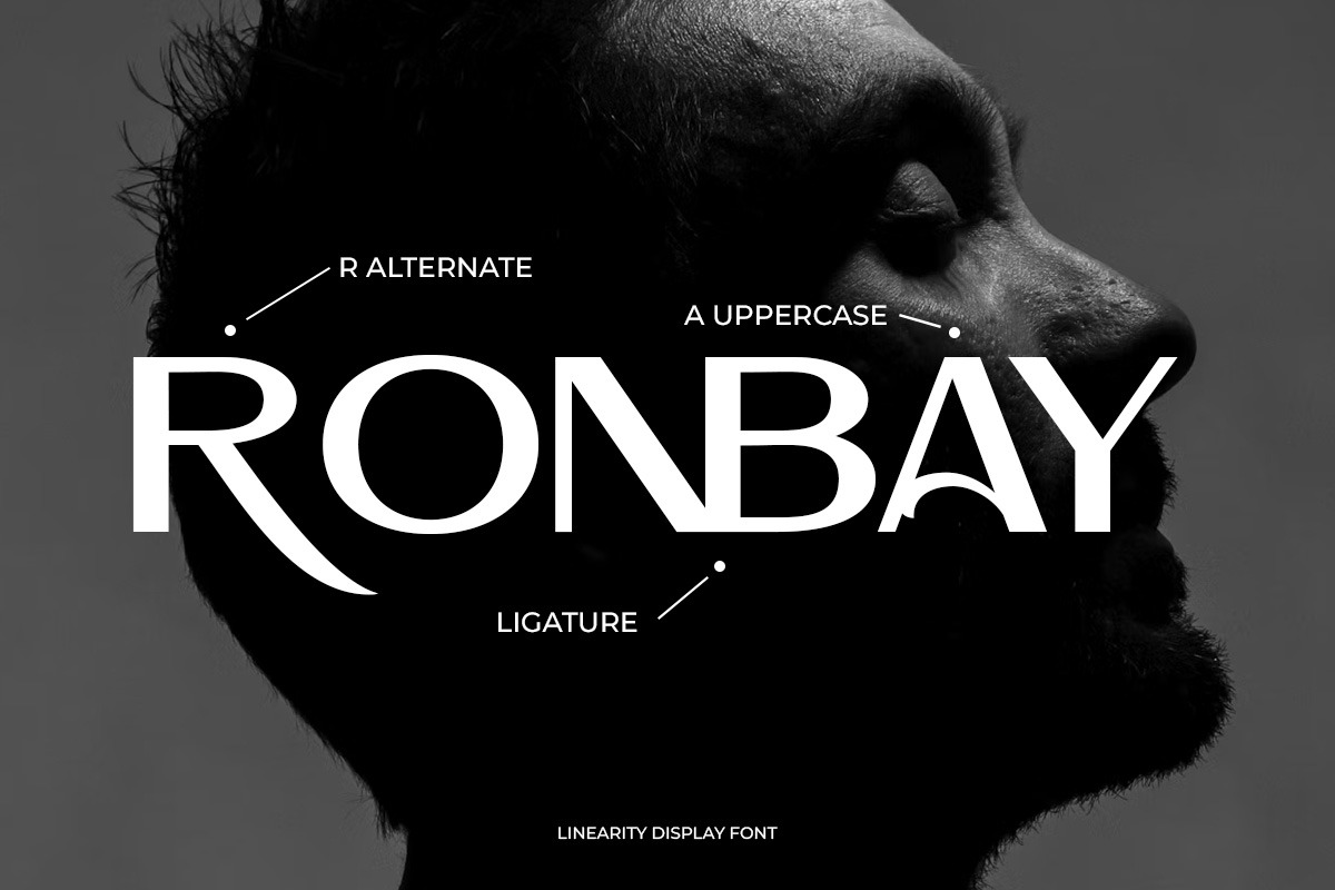 Linearity Modern Logo Font, a Sans Serif Font by Letterhend Studio (Photo 10 of 11)