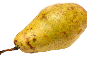 Ripe yellow pear with a characteristic shape and brown spots on, a Food & Drink Photo by ndanko
