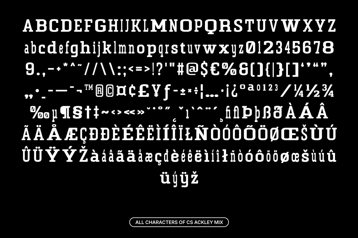 CS Ackley Mix, a Slab Serif Font by Craft Supply Co. (Photo 8 of 8)