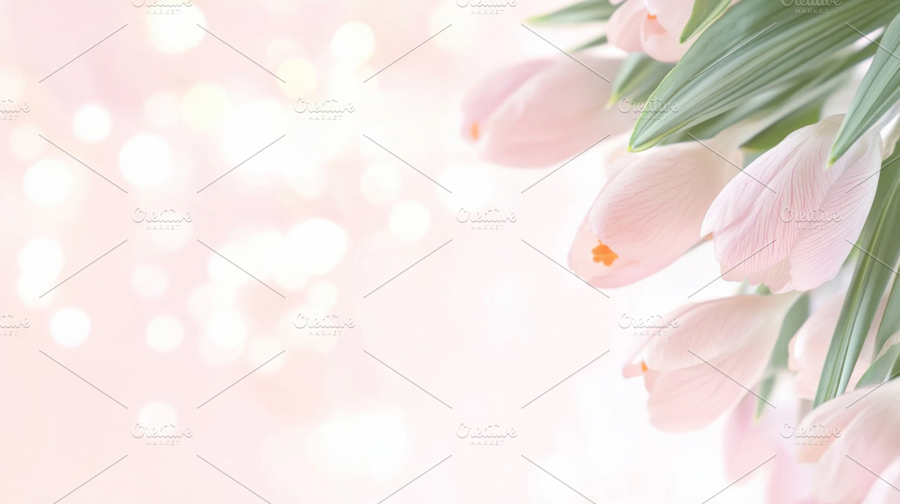 Pink tulips on pastel soft candy, a Photo by Dvoevnore photos