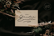 Briana | 2 Styles Signature Font, a Script Font by Scratch Design (Thumbnail 13 of 15)