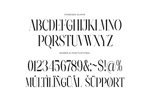 Najika Elegant Serif Font Typeface