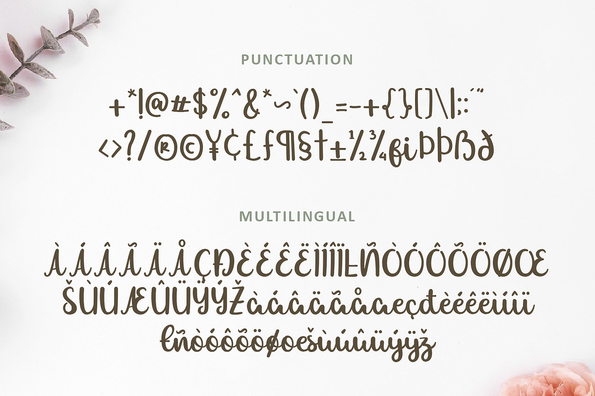 Allexa | Script Font, a Script Font by Suntype | Sunshine Std (Photo 3 of 10)