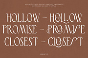 Aveline, Soft Serif with Ligatures, a Serif Font by CarmineType (Thumbnail 26 of 28)