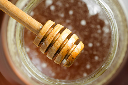 honey dipper close up with the organic produc on bacground unfoc