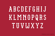 Parliament Font, a Slab Serif Font by Fresh Pressed Fonts (Thumbnail 2 of 4)