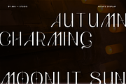 Hecate Sans Display, a Sans Serif Font by BY AVA — studio (Thumbnail 3 of 8)