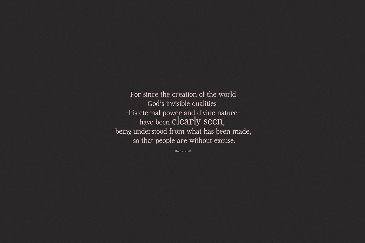 Beauty Outside Serif Font preview 7