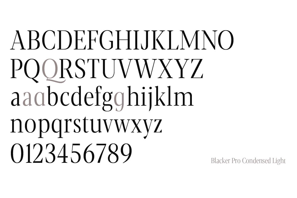 Blacker Pro - 69 fonts, a Serif Font by Zetafonts (Photo 12 of 18)