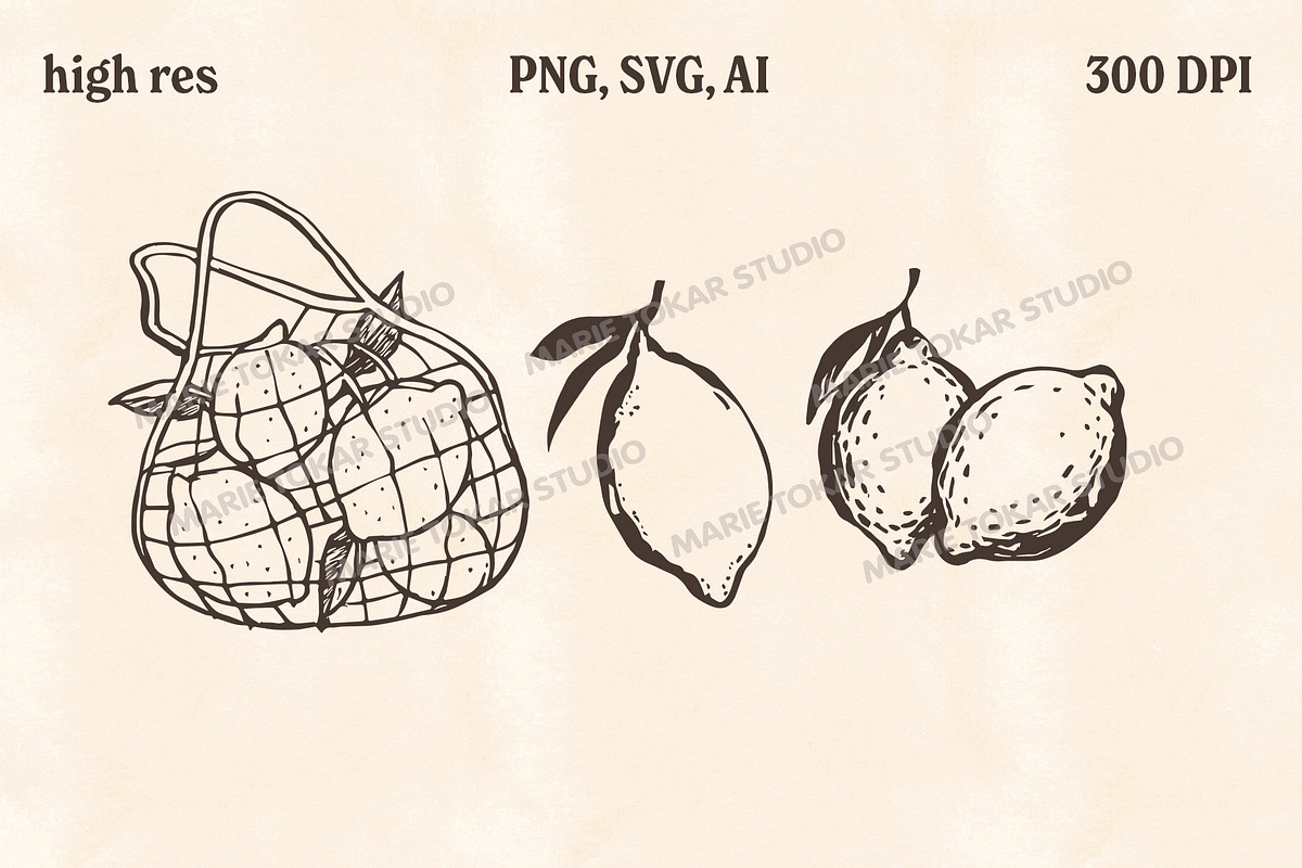 Whimsical Berry Fruit Bundle SVG PNG, a Food Illustration by Marie T (Photo 28 of 36)