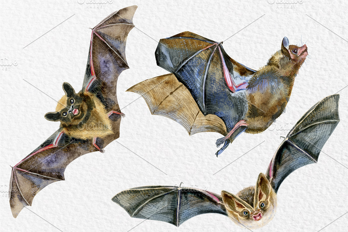 Orange and black Halloween, an Animal Illustration by Watercolor fantasy (Photo 8 of 9)