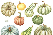 Thanksgiving watercolor Bundle., an Illustration by Mary (Thumbnail 6 of 9)