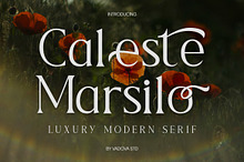 Caleste Marsilo Luxury Serif Font