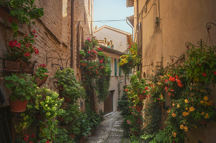 Spello picturesque street and plants, an Architecture Photo by Stefano Orazzini