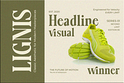 Lignis, a Serif Font by Zafiratype (Thumbnail 4 of 15)