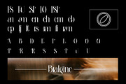 Bralgine A Modern Ligature Serif, a Serif Font by Alfinart (Thumbnail 5 of 10)