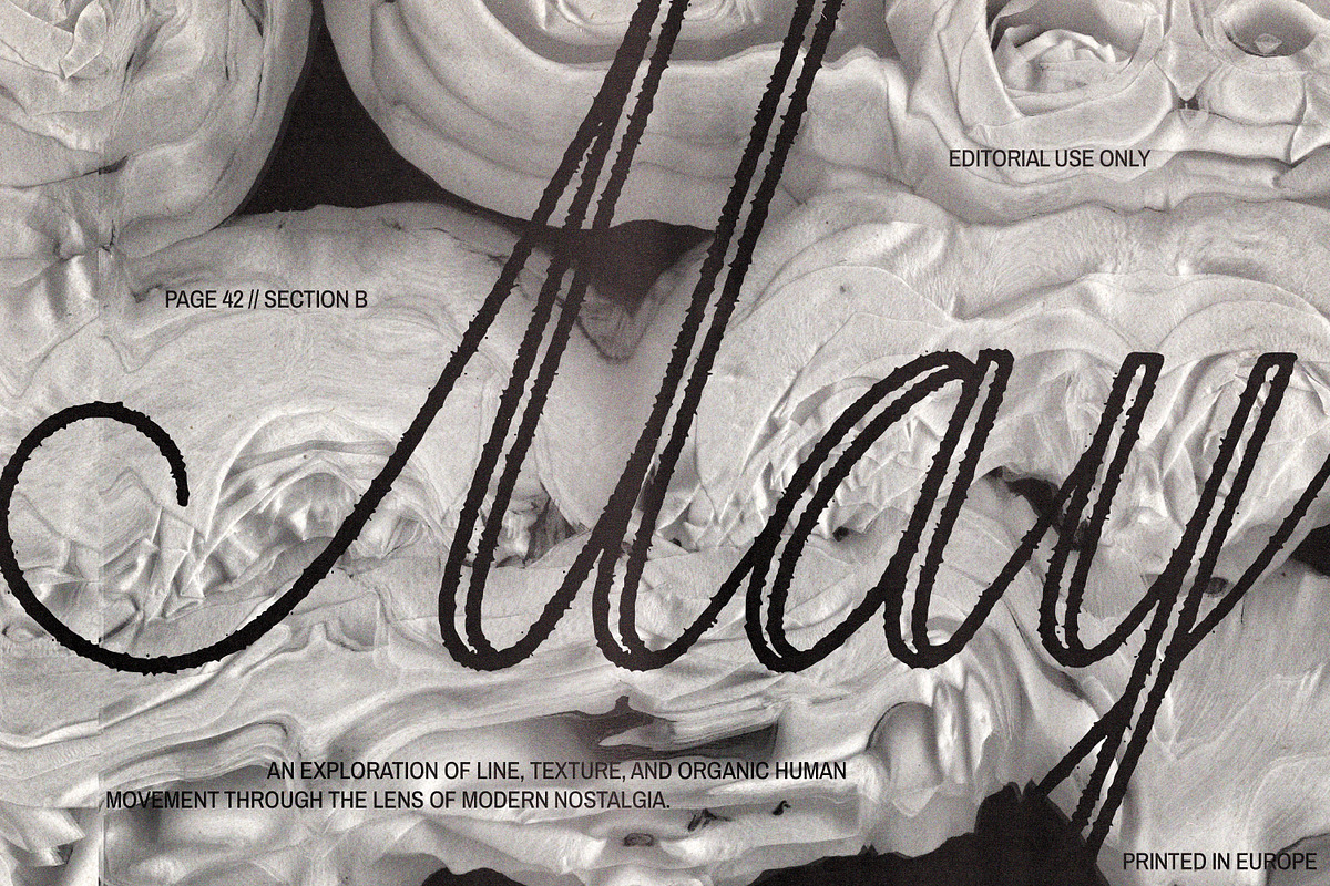 Adore Studio Romantic Font Duo, a Script Font by AnMark (Photo 6 of 14)