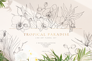 Tropical paradise. Line art set, an Illustration by Pamyatka Shop (Thumbnail 1 of 13)