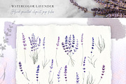 Love Lavender Set, an Illustration by Olga Koelsch (Thumbnail 2 of 11)