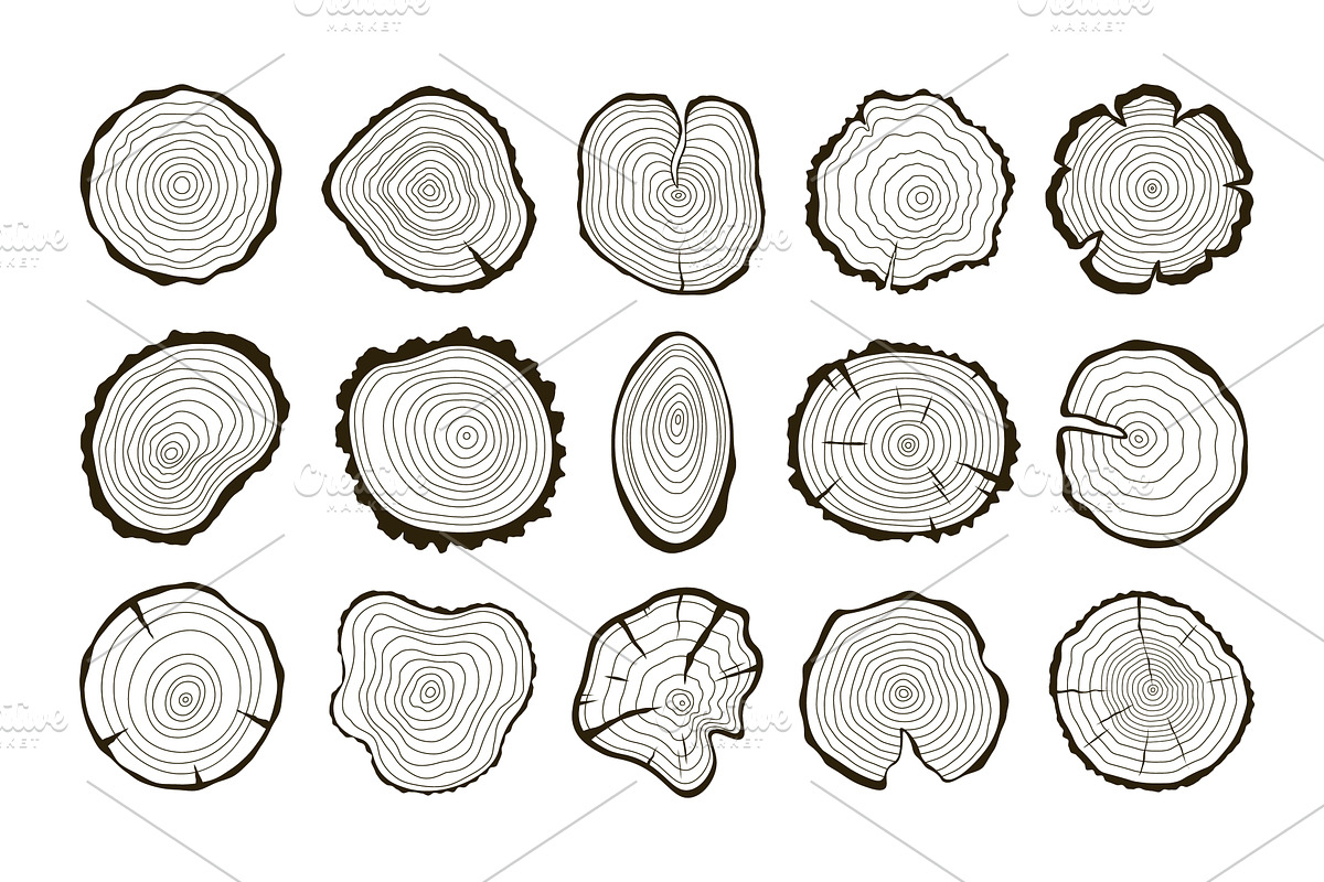 Wood trunk rings, circular stump, a Background Graphic by LadadikArt