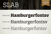 Alianza Slab, a Slab Serif Font by Corradine Fonts (Thumbnail 2 of 7)