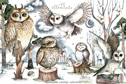 Cute forest owl. Wildlife watercolor, an Animal Illustration by Ann Art Houze (Thumbnail 6 of 10)