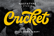 Cricket Script, a Script Font by hastatypestd (Thumbnail 1 of 8)