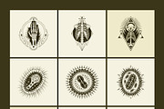 100 Anatomical Illustrations Set, an Education Illustration by Prosymbols (Thumbnail 9 of 11)