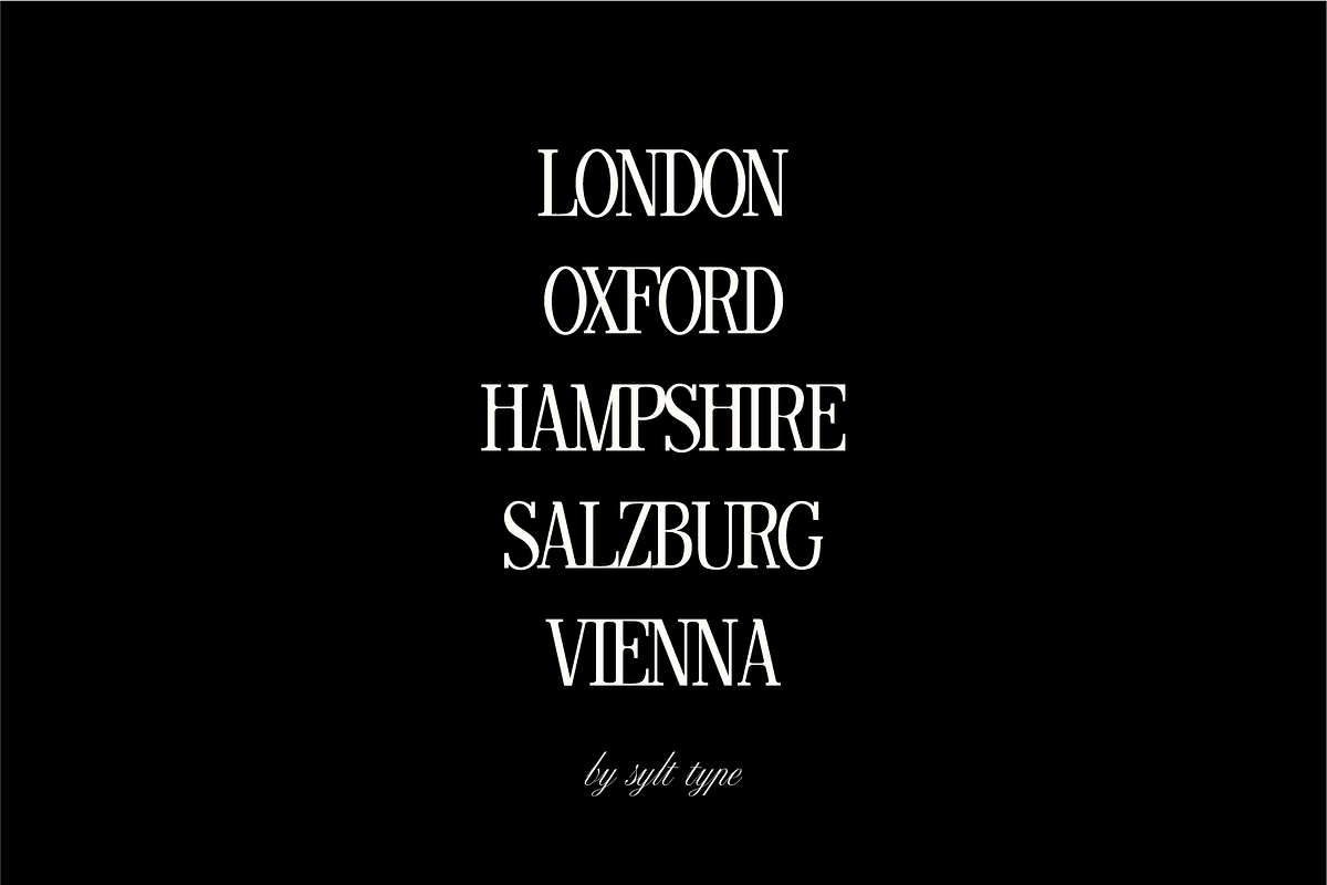 Salzare Display Font Bundle, a Serif Font by Sylt Type (Photo 6 of 7)