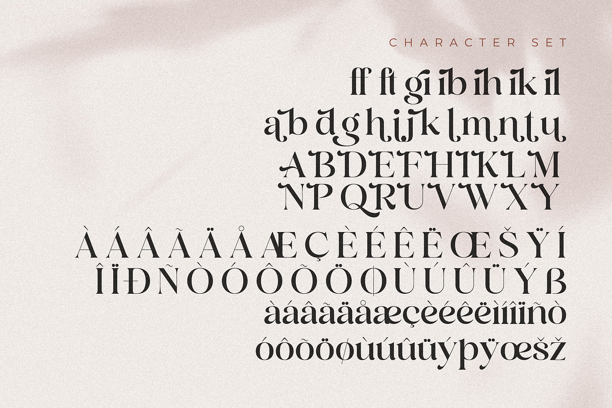 Andora Modern Font Duo, a Serif Font by Storytype Studio (Photo 9 of 15)
