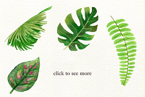 Tropical Bliss Watercolor Leaves Set