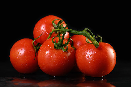 Fresh ripe red tomatoes branch, a Food & Drink Photo by Apolonia