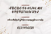 Rekan - Brush Script Font, a Script Font by Typefactoryco (Thumbnail 2 of 8)