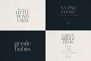 Luxury Serif Collection - 8 Fonts, a Serif Font by Only Fonts (Thumbnail 9 of 12)