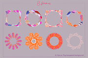 seashells collection, a Texture Illustration by Mona Ahmed (Thumbnail 4 of 10)