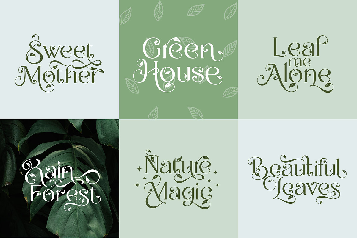 The Moot Jungle Nature Typeface, a Serif Font by alit design (Photo 12 of 15)