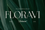 Raena Drawn, a Serif Font by Craft Supply Co. (Thumbnail 2 of 8)