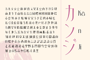 Irazhumi, a Serif Font by Burntilldead (Thumbnail 5 of 16)