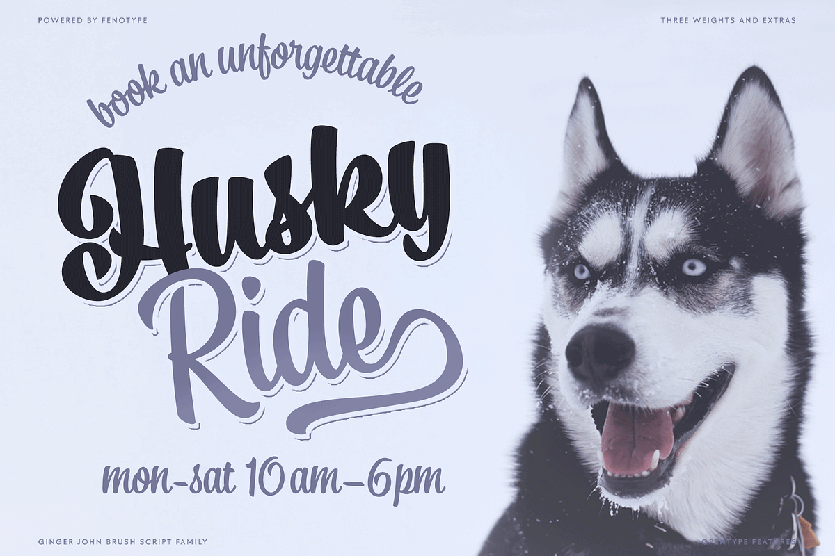 Ginger John Brush Script Family, a Script Font by Fenotype (Photo 4 of 11)