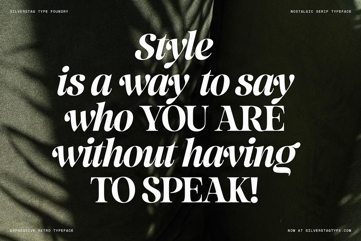 La Mystere - Editorial Serif Font, a Serif Font by SilverStag Type Foundry (Photo 24 of 30)