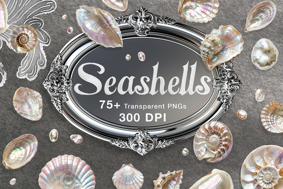 Seashells & Pearls PNG Collection, an Object Graphic by Olha Kostiuk (Photo 1 of 5)