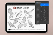 Raven Bird Procreate Brush Stamps, a Shape Add-On by MadliArt (Thumbnail 2 of 5)