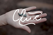 monaline mono script, a Script Font by Tooris (Thumbnail 4 of 8)