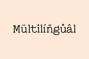 Leipzer - The Simple Serif Typeface, a Serif Font by Designova® (Thumbnail 7 of 9)