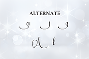 Shiny Another | Script Font, a Handwritten Font by Scratchones (Thumbnail 8 of 9)
