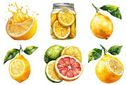Watercolor Flavorful Lemon Clipart, an Illustration by Craft Nest (Thumbnail 4 of 5)