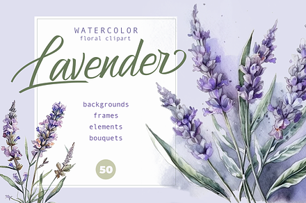 Watercolor Lavender clipart.